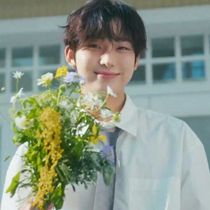 awnesome's tweet photo. "You have a sunflower soul, no matter how dark it gets, it will always chase the light" https://t.co/tGJTxLTcr0