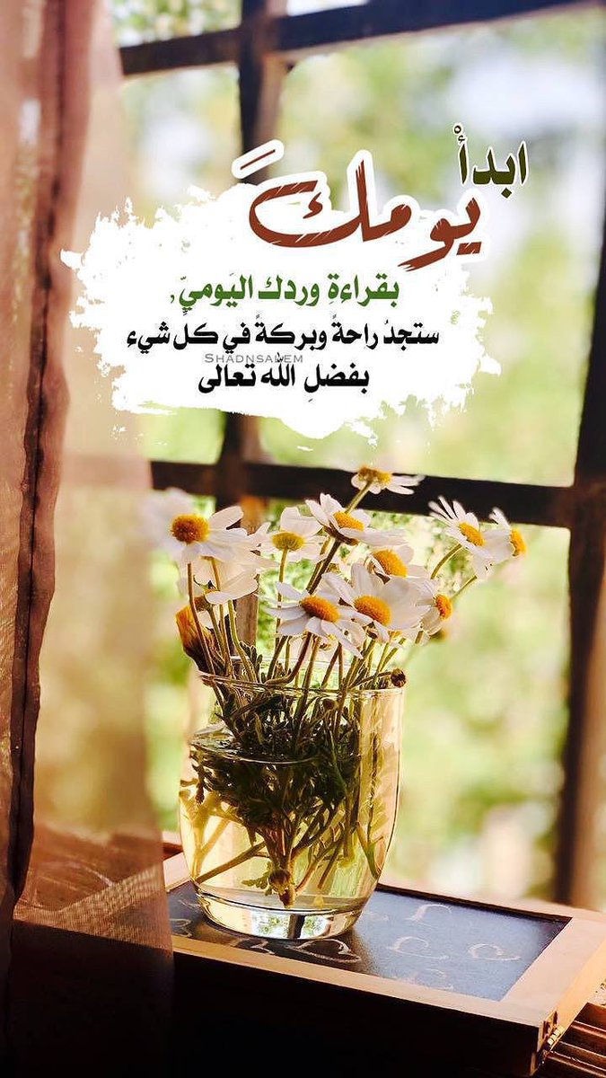 ‏﮼رحيق﮼الورد🕊🤍 tweet media