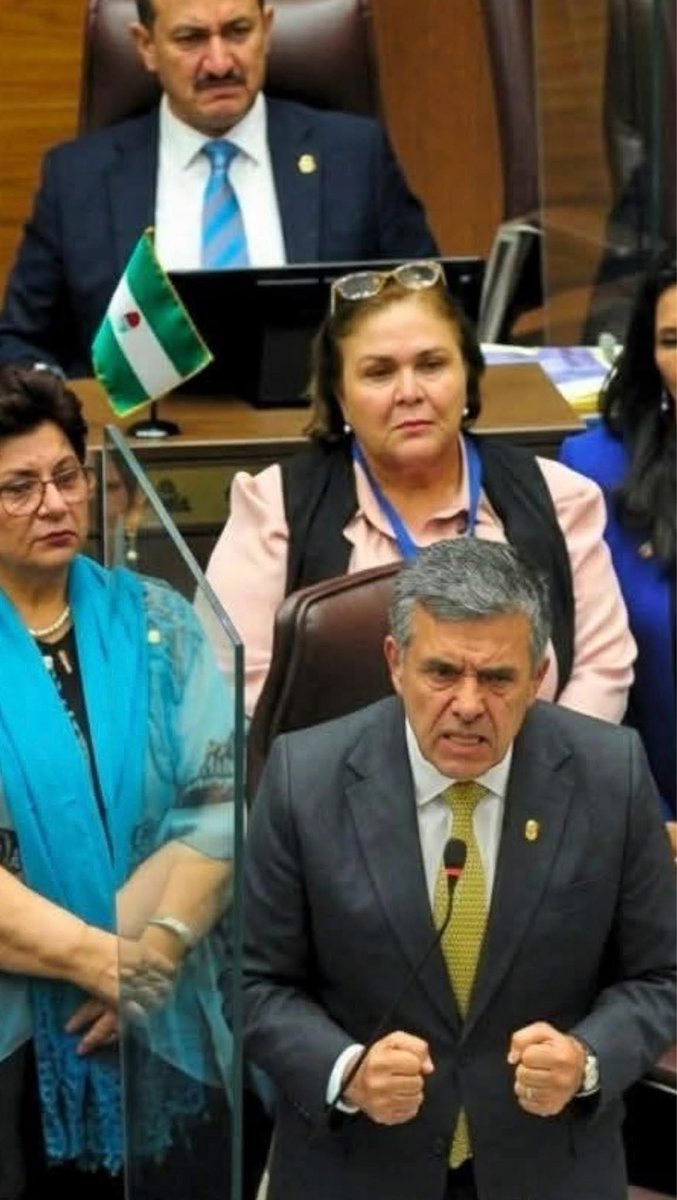 Lo ocurrido en el plenario legislativo, reflejado en la imagen, evidencia un ambiente de tensión, frustración y confrontación. Los gestos de varios diputados muestran el enojo ante la falta de votos para imponer nombramientos de magistrados suplentes  ligados a intereses