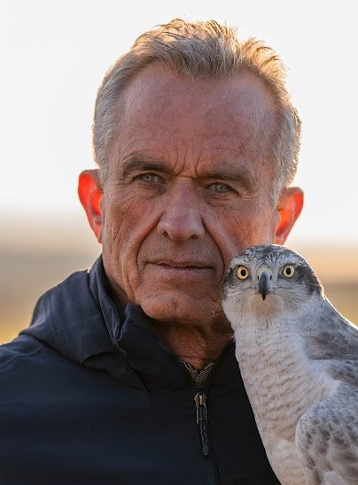 Joshua Rainer (@joshrainergold) on Twitter photo 