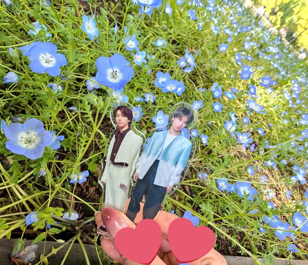 ❤️みき❤️ tweet media