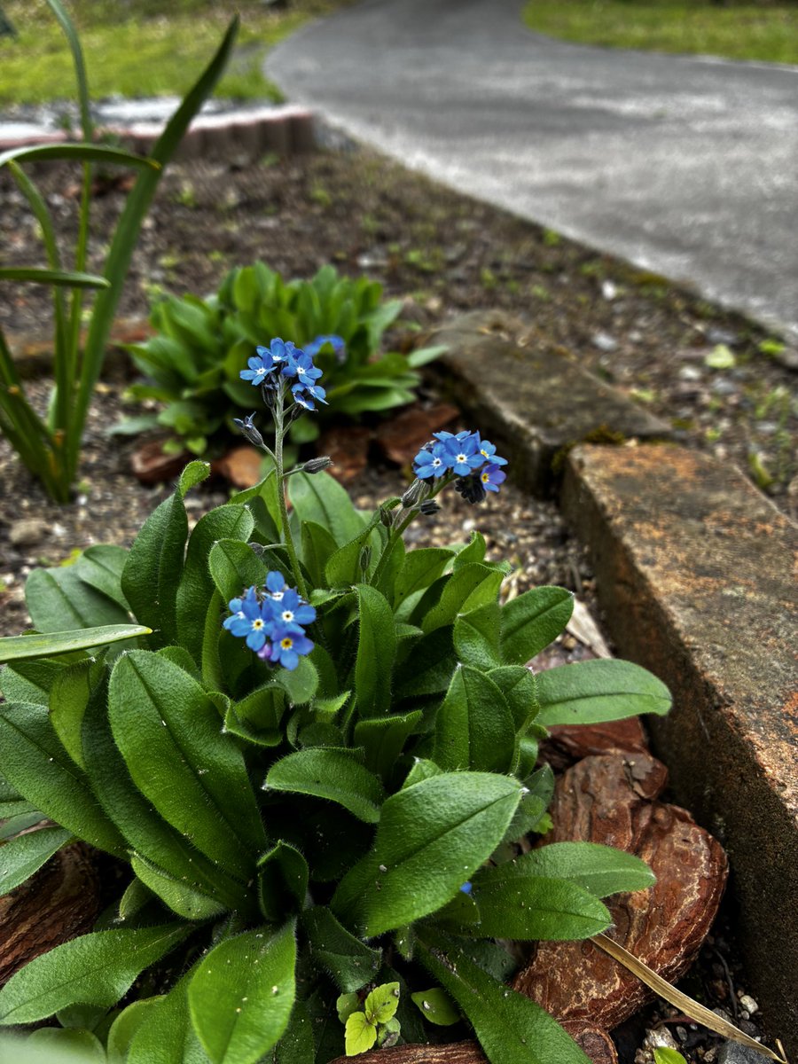 4月26日（日）オープンしました。今日も17時まで営業します。

新しい古本も出しています。
美作の里山でみなさまのお越しをお待ちしております。

#Bookstabito蔵
#旅
#美作
#津山
#古本屋
#古書店
#周南本屋通り