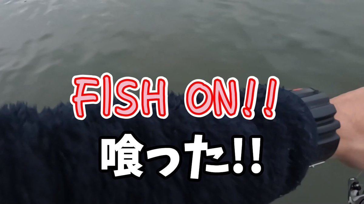 no_gorichan's tweet photo. 【バス釣り】【霞ヶ浦】のプリスポーンは〇〇れば確実!!

動画はこちら
https://t.co/SXsxqy9OaO

春の釣りにくい日でもこれを試せばこの時期は手堅く釣れるからやってみた。 やっぱたくさん釣れるな!!

#バス釣り 
#霞水系 
#霞ヶ浦 
#おかっぱり 
#バスフィッシング 
#流入河川 
#ミノー 
#春 https://t.co/cDLEBJJCNQ