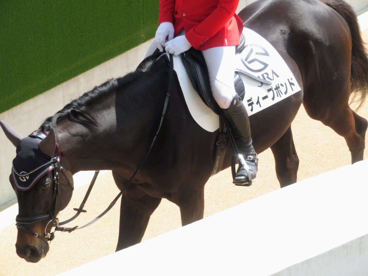 やまぴ🐎 tweet media