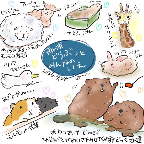 ちょーだい🙌＆集団もみしです🦫😇