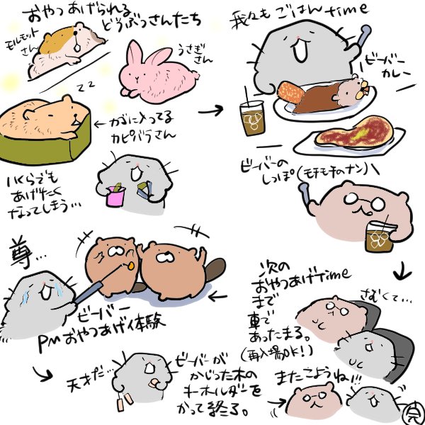 ちょーだい🙌＆集団もみしです🦫😇