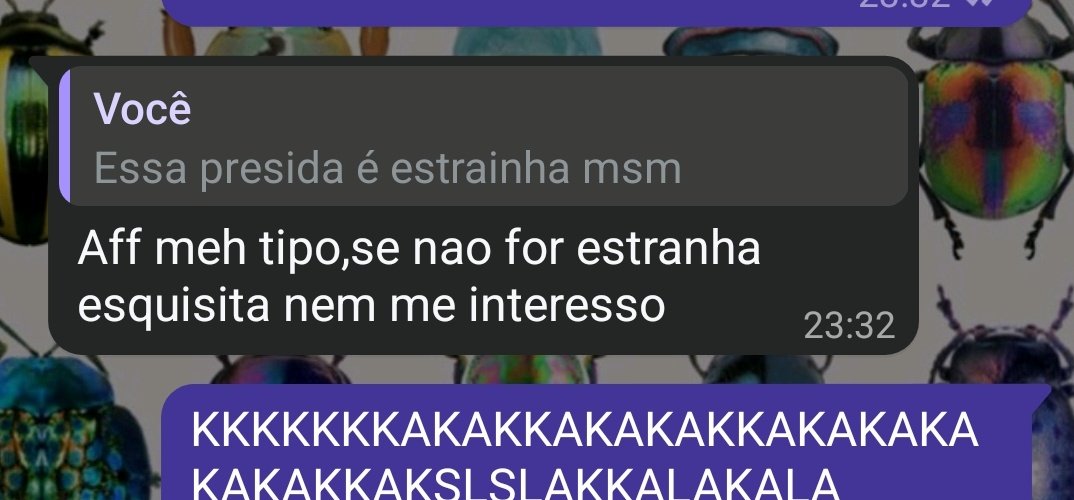 ket 🍄 tweet media