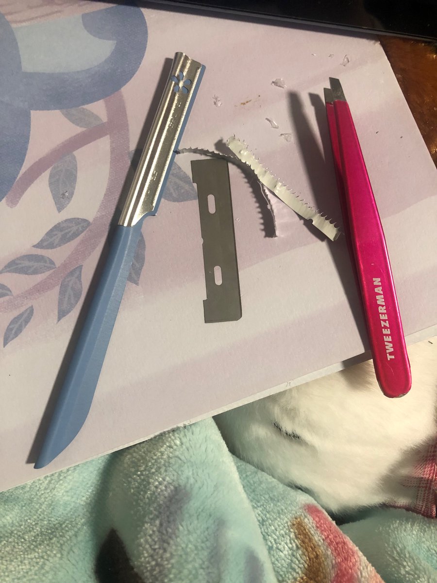 raincandy tweet media