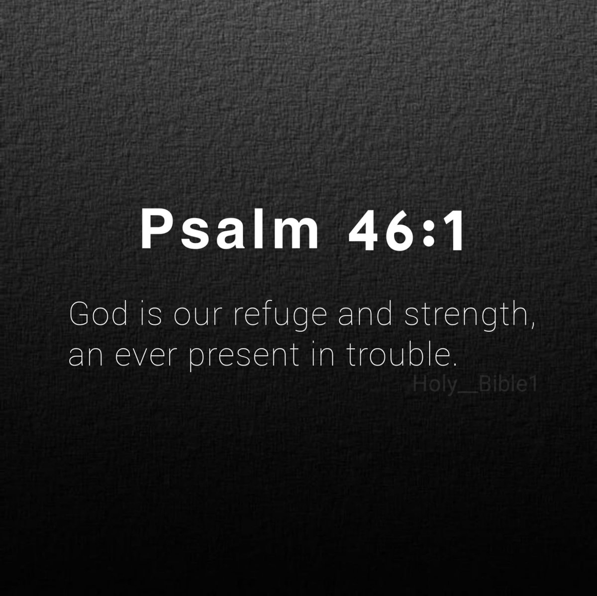 Holy Bible tweet media