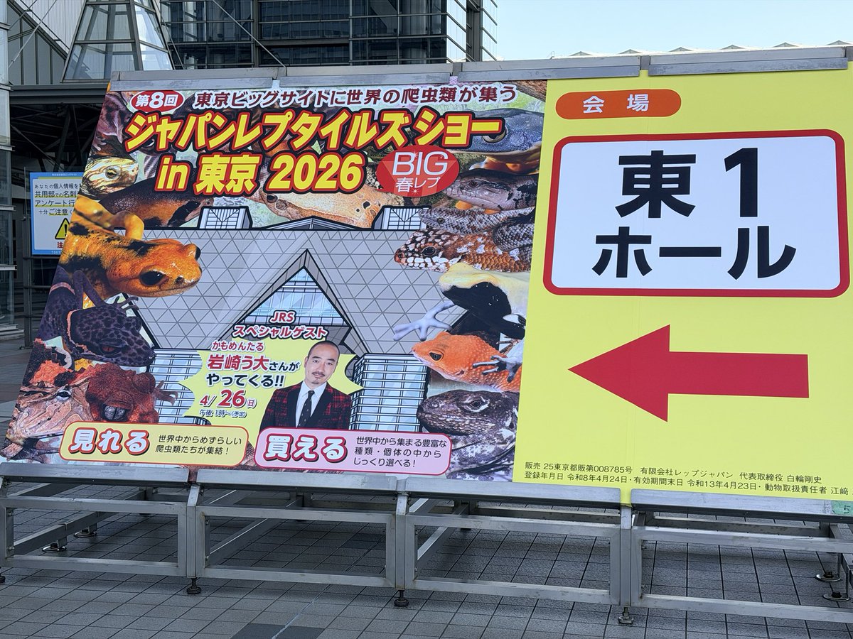 来たゼ