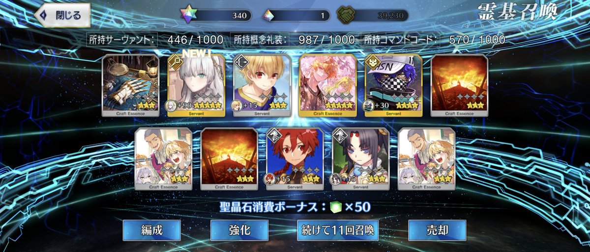 FGO 10連でアナスタシアがすり抜けて来たけど50連と呼符20枚で来た。