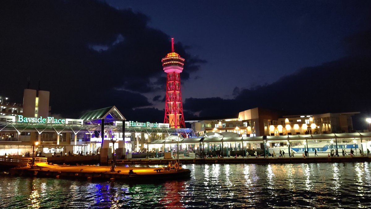 たこちゃん tweet media