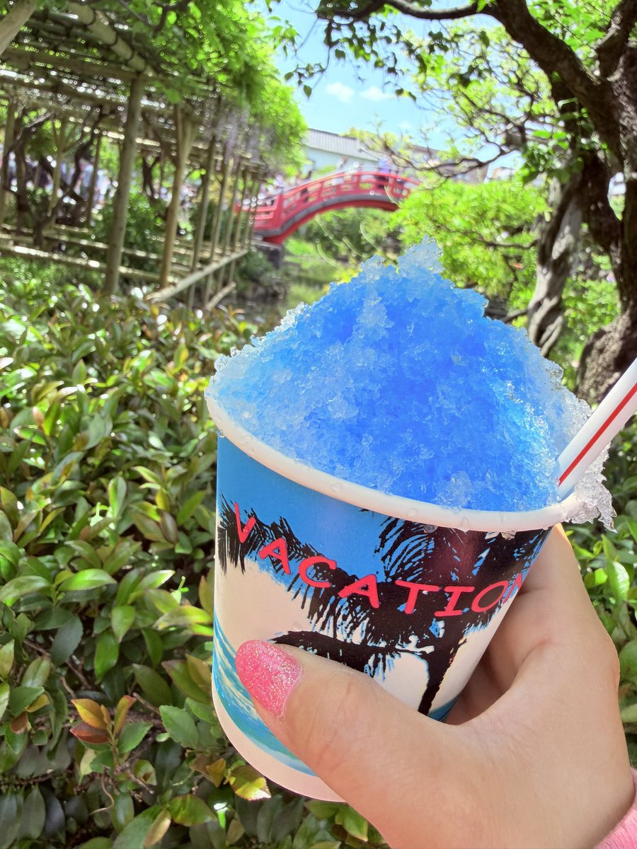 鈴木@婚活垢 tweet media