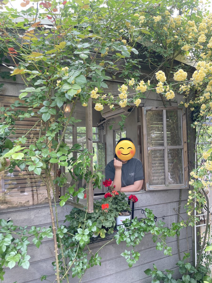 눈뜨자마자 인기상투표먼저하고..
날씨가 좋아 햇살펭이랑..카페나들이~
준호도.  늦봄을 느끼며
쉬어가는 하루가 되었으면 좋겠다..