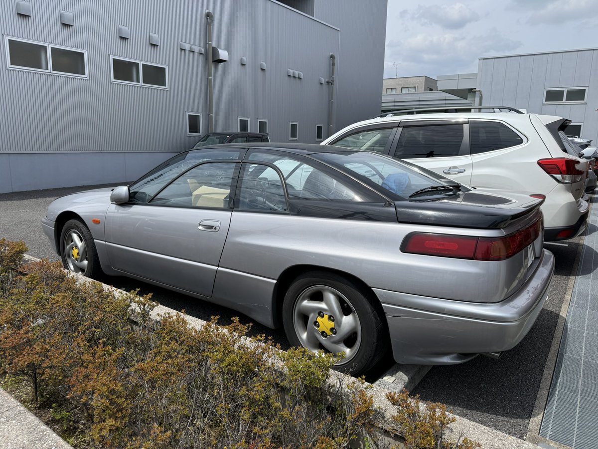 すてるす(りく) tweet media