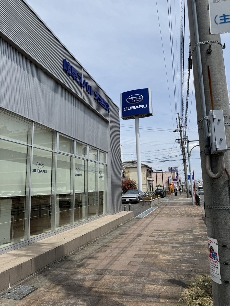 すてるす(りく) tweet media