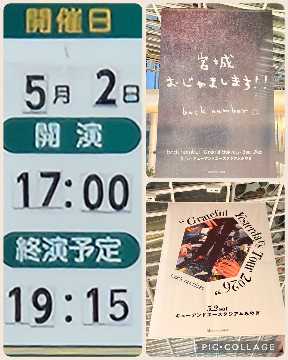 サトリン🐨🎶🦅⚾ tweet media