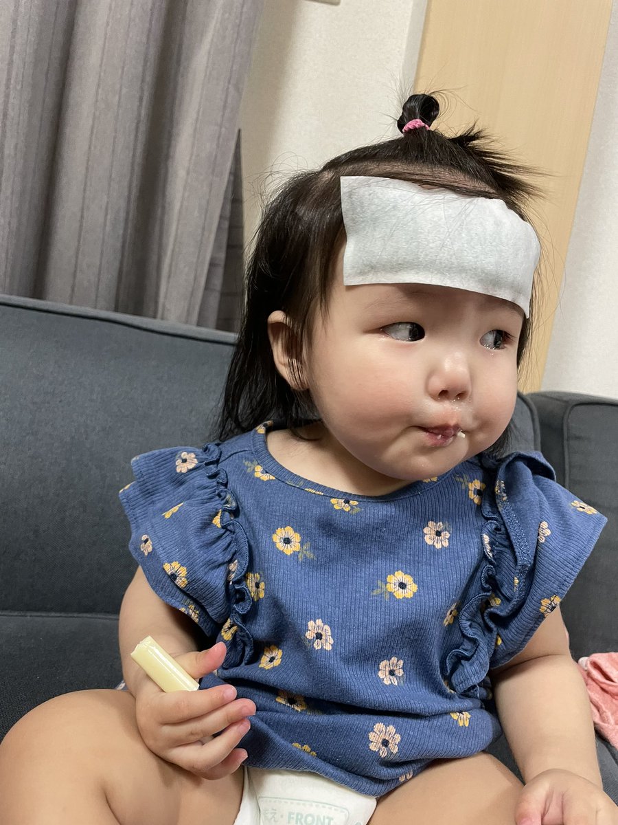 __rin_chan_'s tweet photo. 日に日にレベルアップしていくウチの子

ピッピ鳴るスリッパ履かせて、
モカピー来たーって知らせたい🐣❣️ https://t.co/zS1qFKCF4p