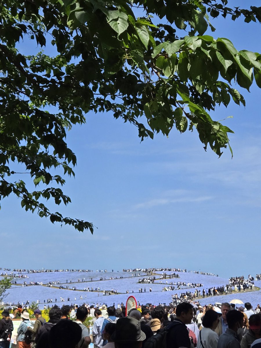 みきゅ♪ tweet media