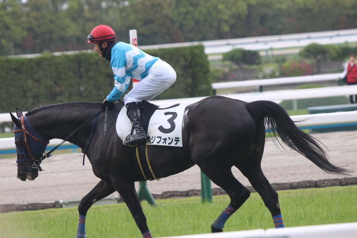 MATSUTORATORA's tweet photo. 京都競馬場
第4レース
障害4歳上未勝利
フジフォンテ号
に石神深一騎手
石神騎手
現役生活お疲れ様でした！
#石神深一
#京都競馬場 https://t.co/j8haPt42dA