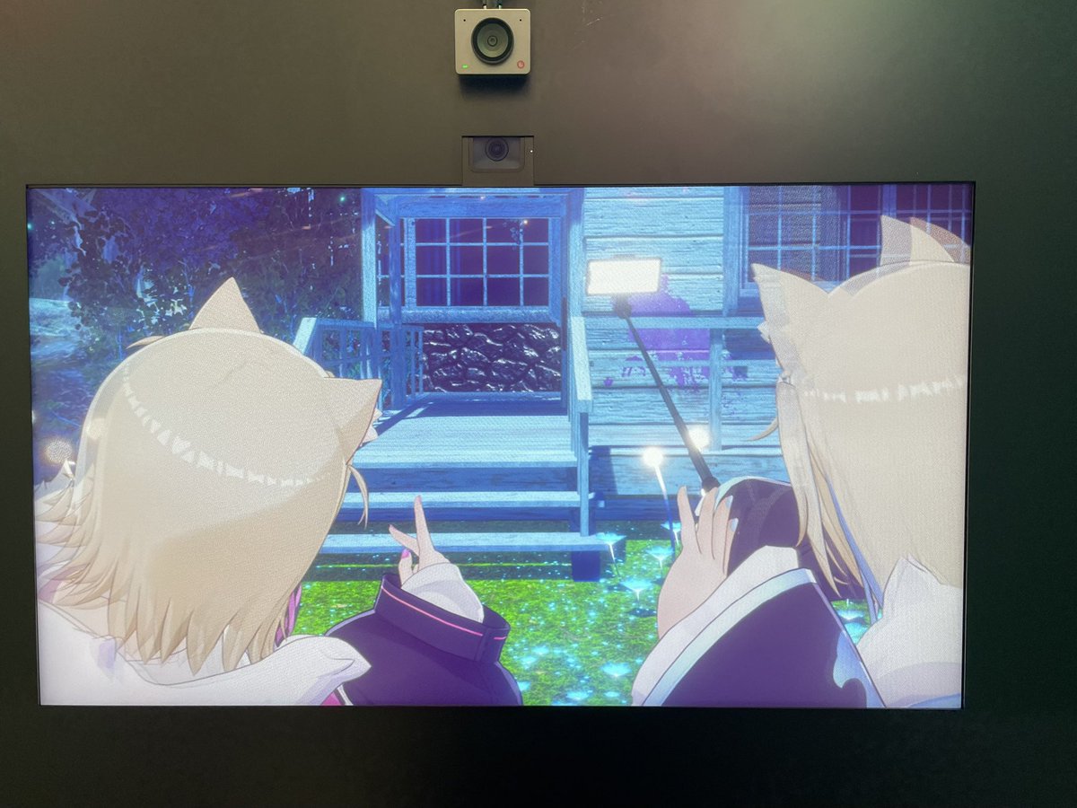 🎼▷る▷🐱 tweet media