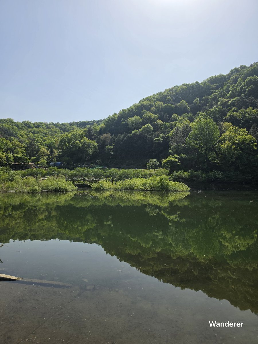 sukoya979's tweet image. Have a happy Sunday, everyone.✨️🌞☕️🌸🙇‍♂️🙏🏿#goodmorning
​#morning.  #nature.