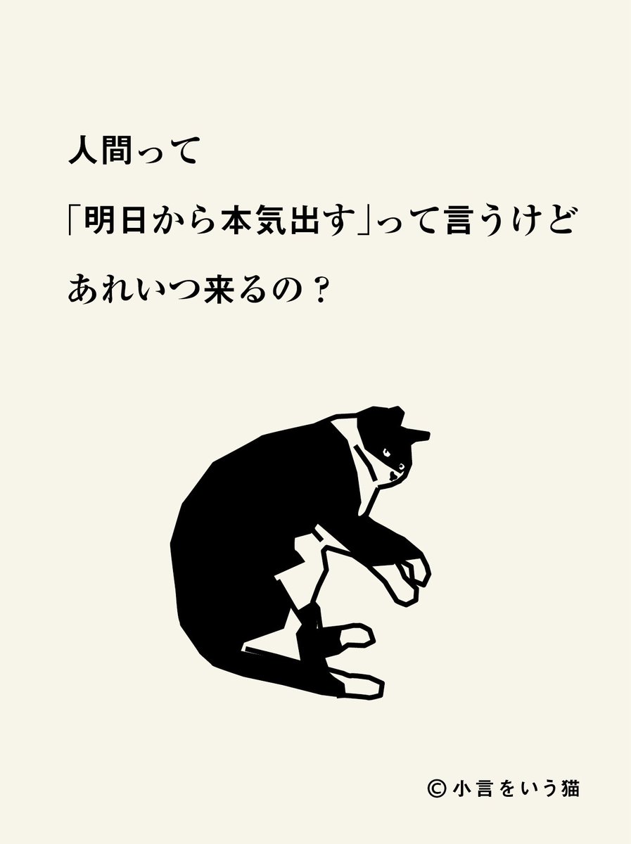 小言をいう猫 tweet media