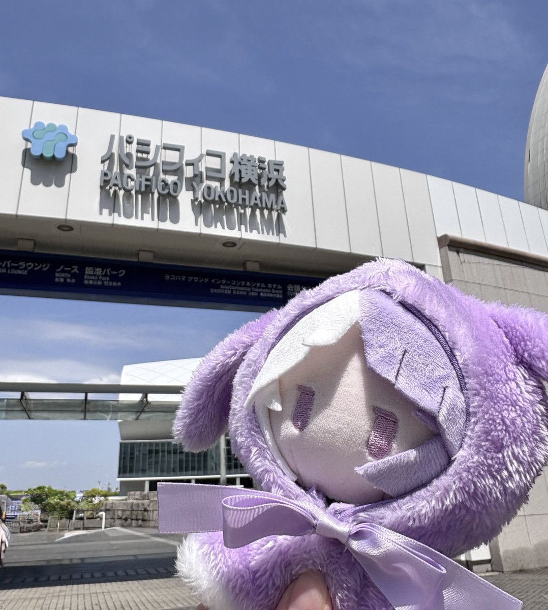パシフィコ〜💜
