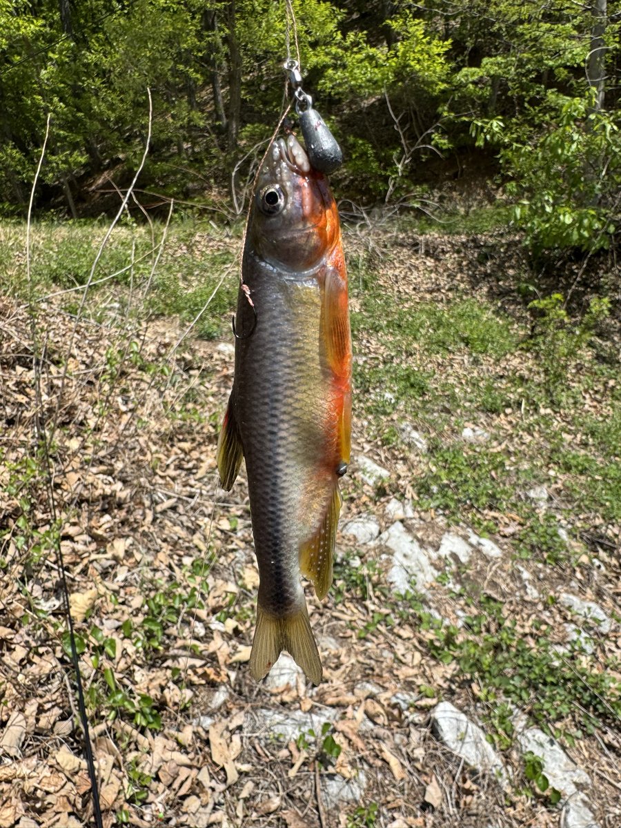 다연님 tweet media