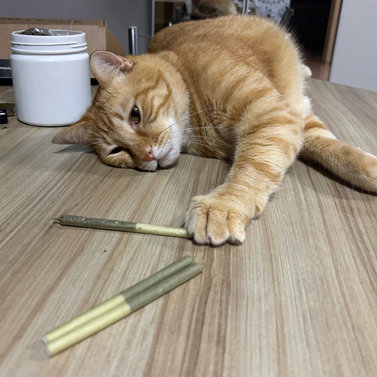 pcd forever tweet media