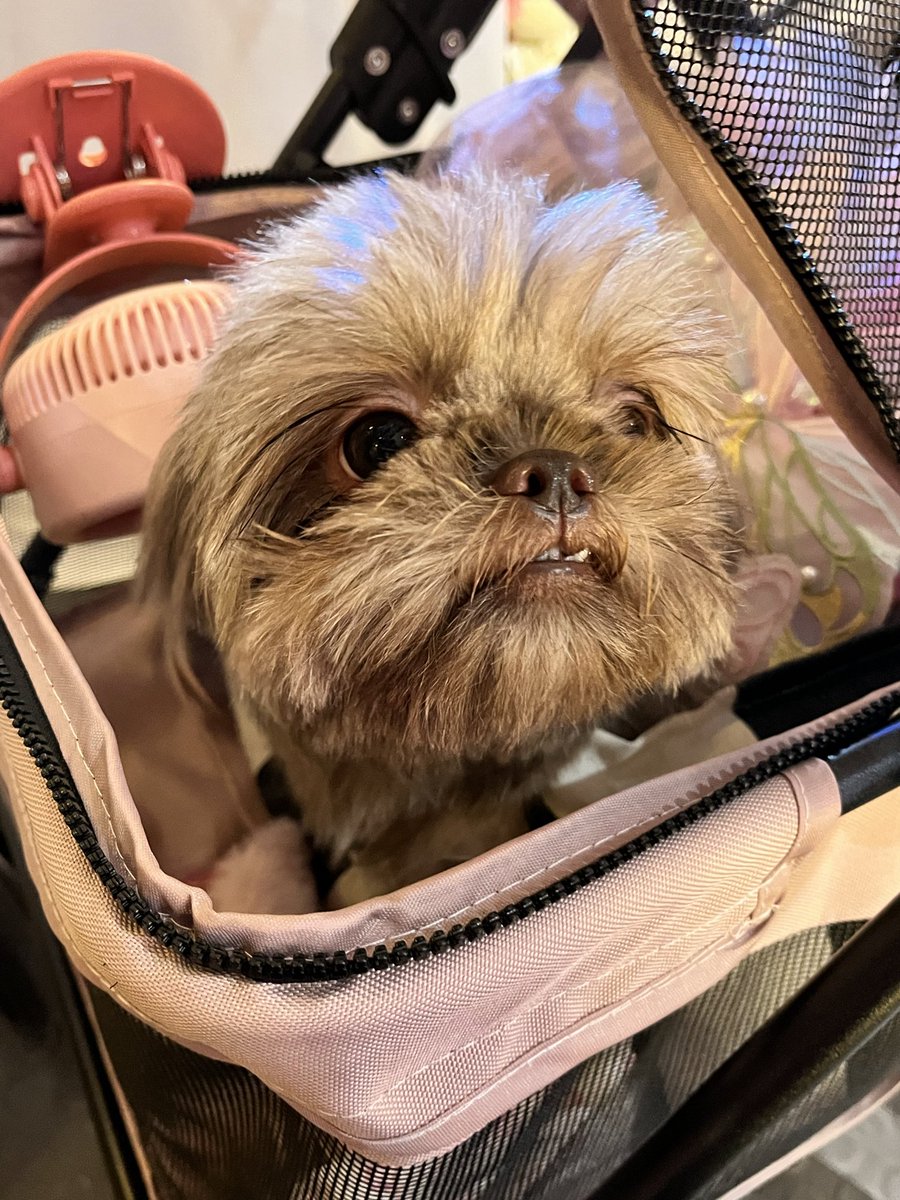 mj ✮⋆˙ tweet media