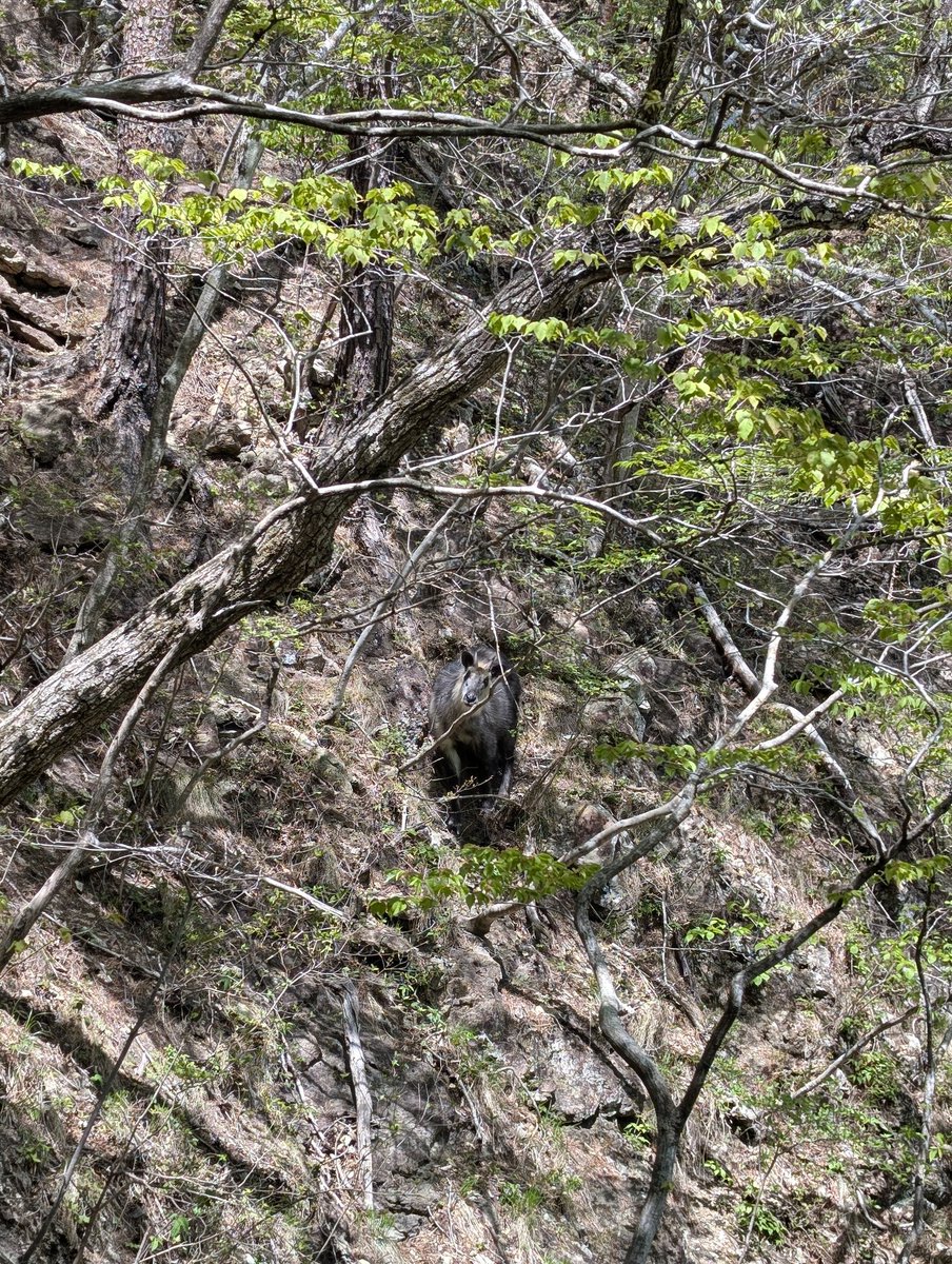 Monitaro🔥FIRE民 tweet media