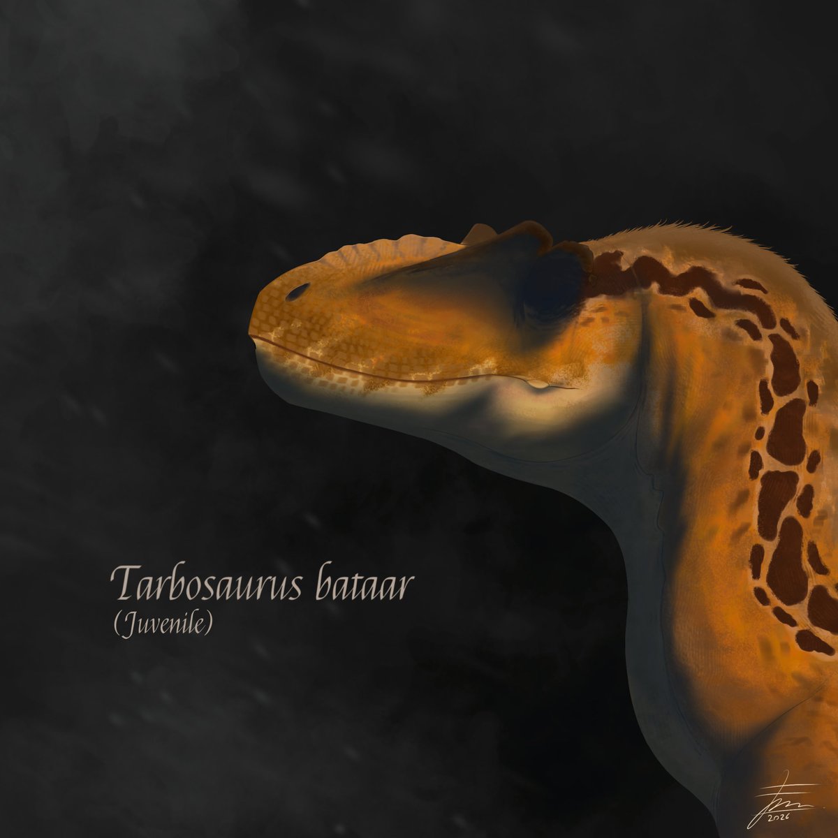 Fachri Prastyanto tweet media