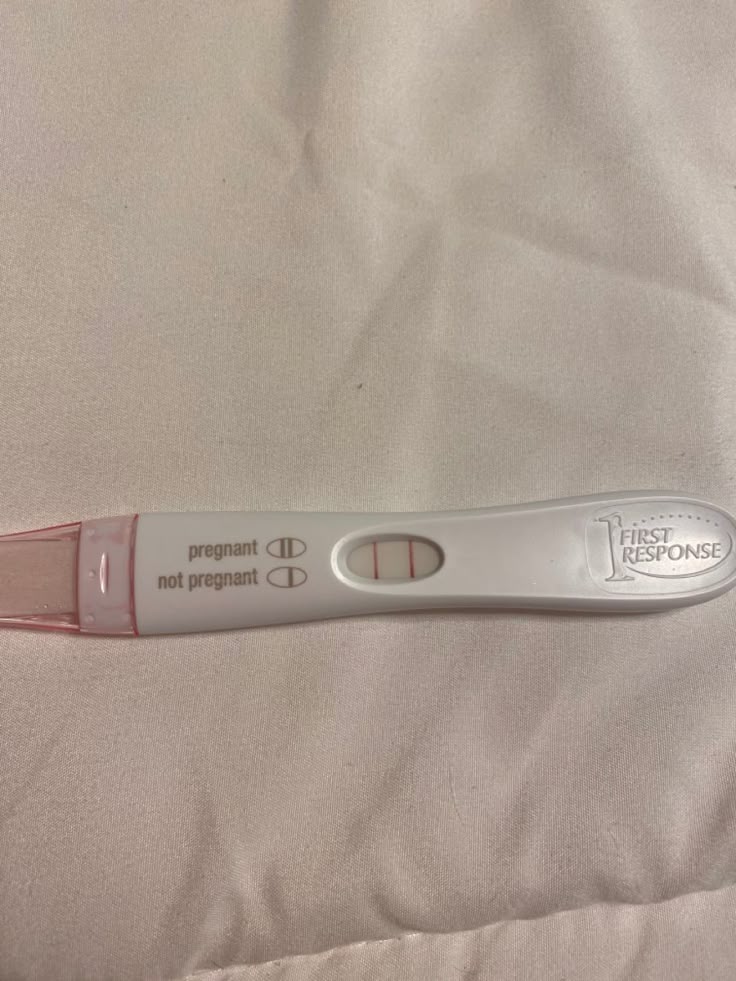 Ren ❄️ | Teeteepor luv 🐶🐻‍❄️ tweet media