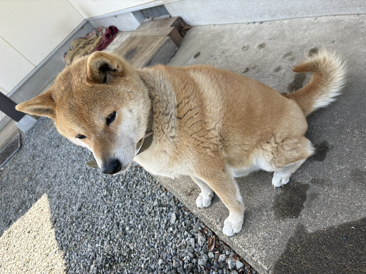 蟹魂pkpk@🌸♨️ tweet media