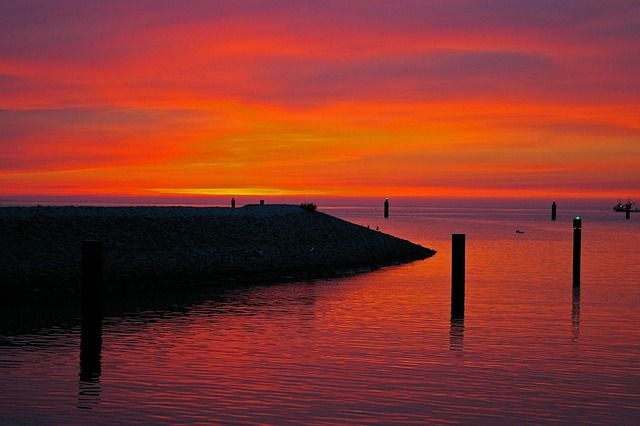 Seth Carter tweet media