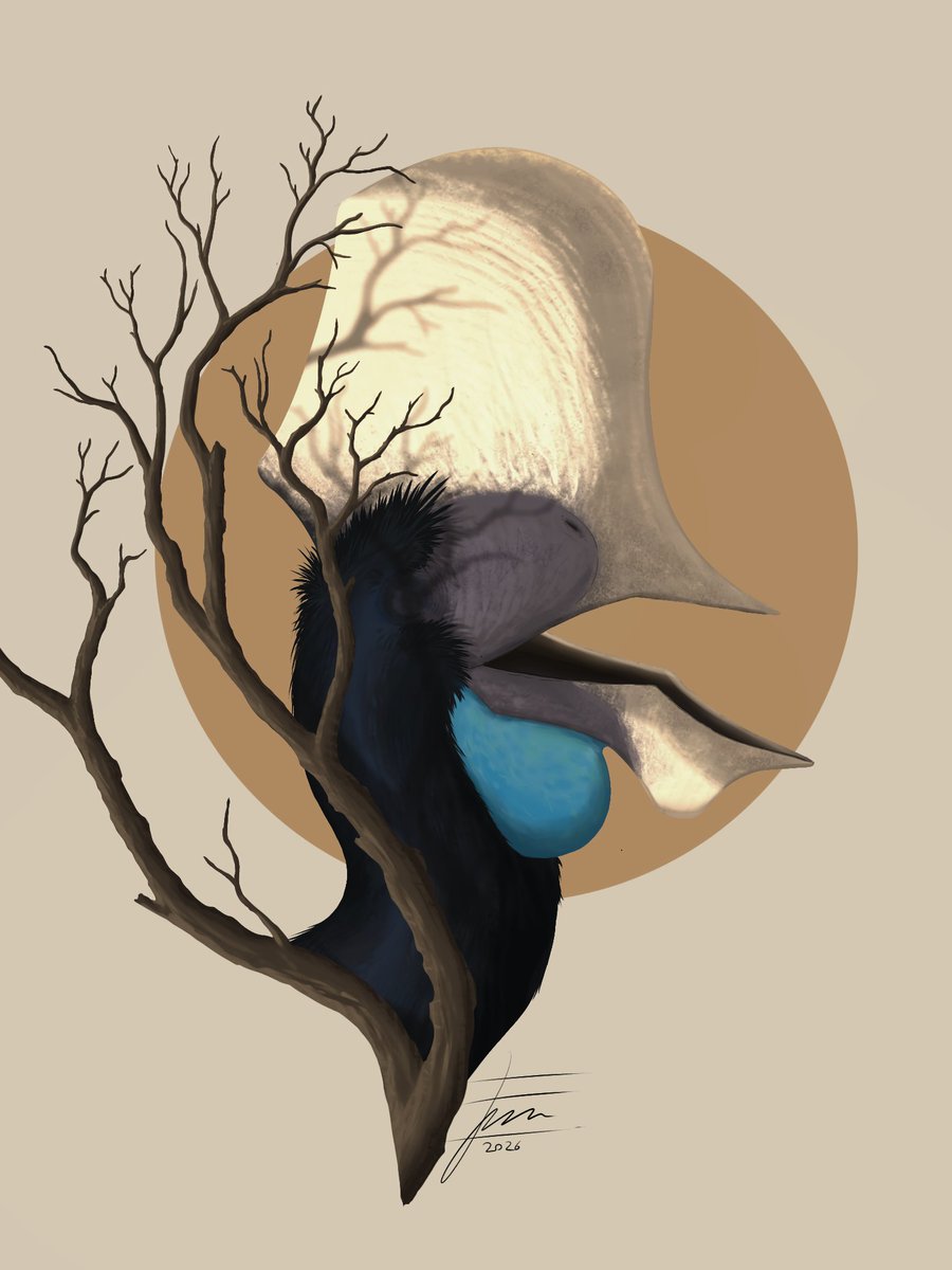 Fachri Prastyanto tweet media