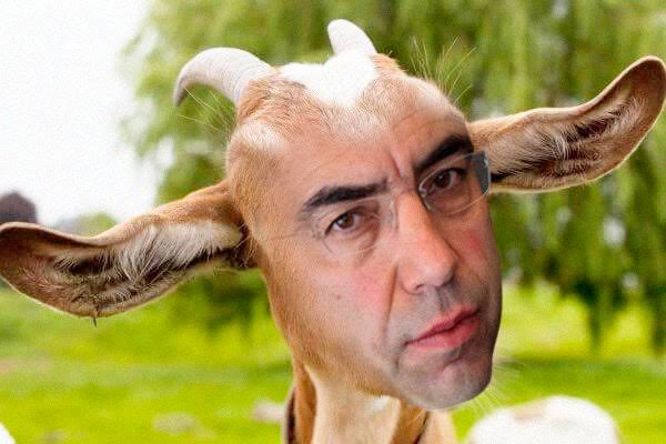 Israelsv74's tweet photo. @JLozanoA Yo opino que eres un p3ndejo hijodepvta... 😎 https://t.co/iG2AivZbw5
