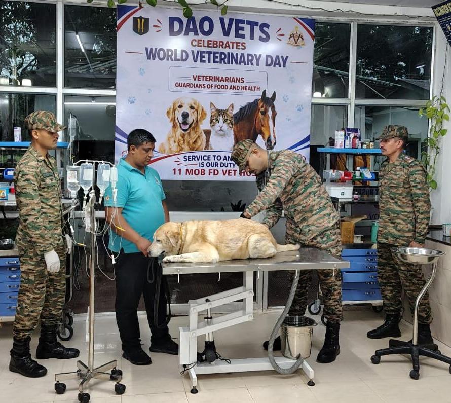 Spearcorps's tweet image. 𝗪𝗼𝗿𝗹𝗱 𝗩𝗲𝘁𝗲𝗿𝗶𝗻𝗮𝗿𝘆 𝗗𝗮𝘆

Troops of Remount and Veterinary Corps under #SpearCorps conducted multiple Awareness and Anti-Rabies Vaccination Drives across #Nagaland, #Assam, #Manipur and #ArunachalPradesh on World Veterinary Day, promoting awareness and strengthening