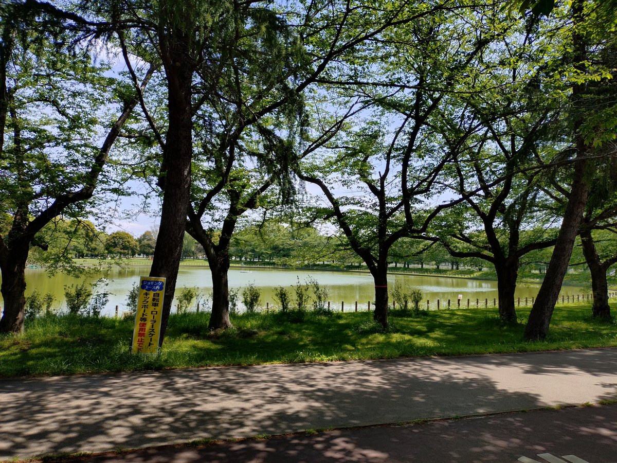 お散歩日和
木陰が涼しい〜