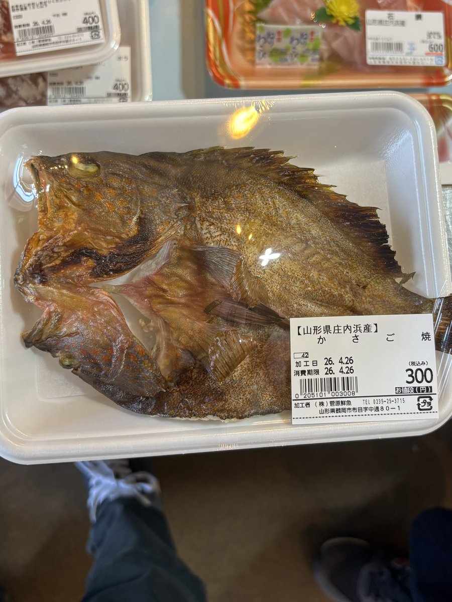 鈴木黒吉 tweet media