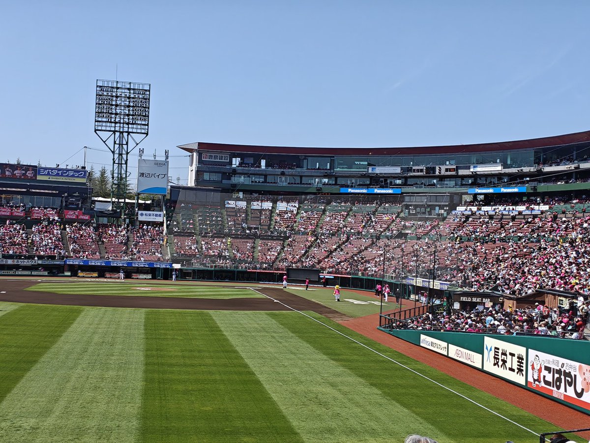 たぬちゃ tweet media