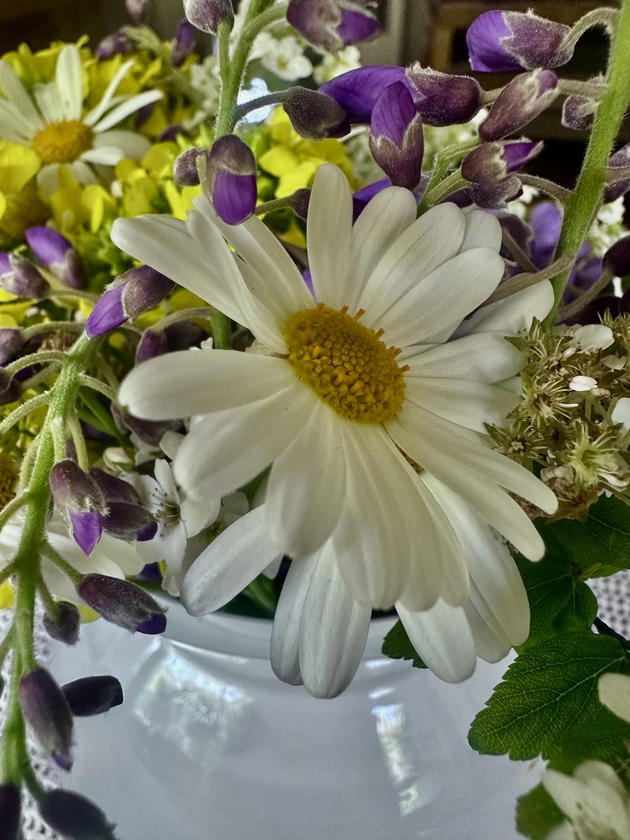 educationtr's tweet image. #SunDay🌍