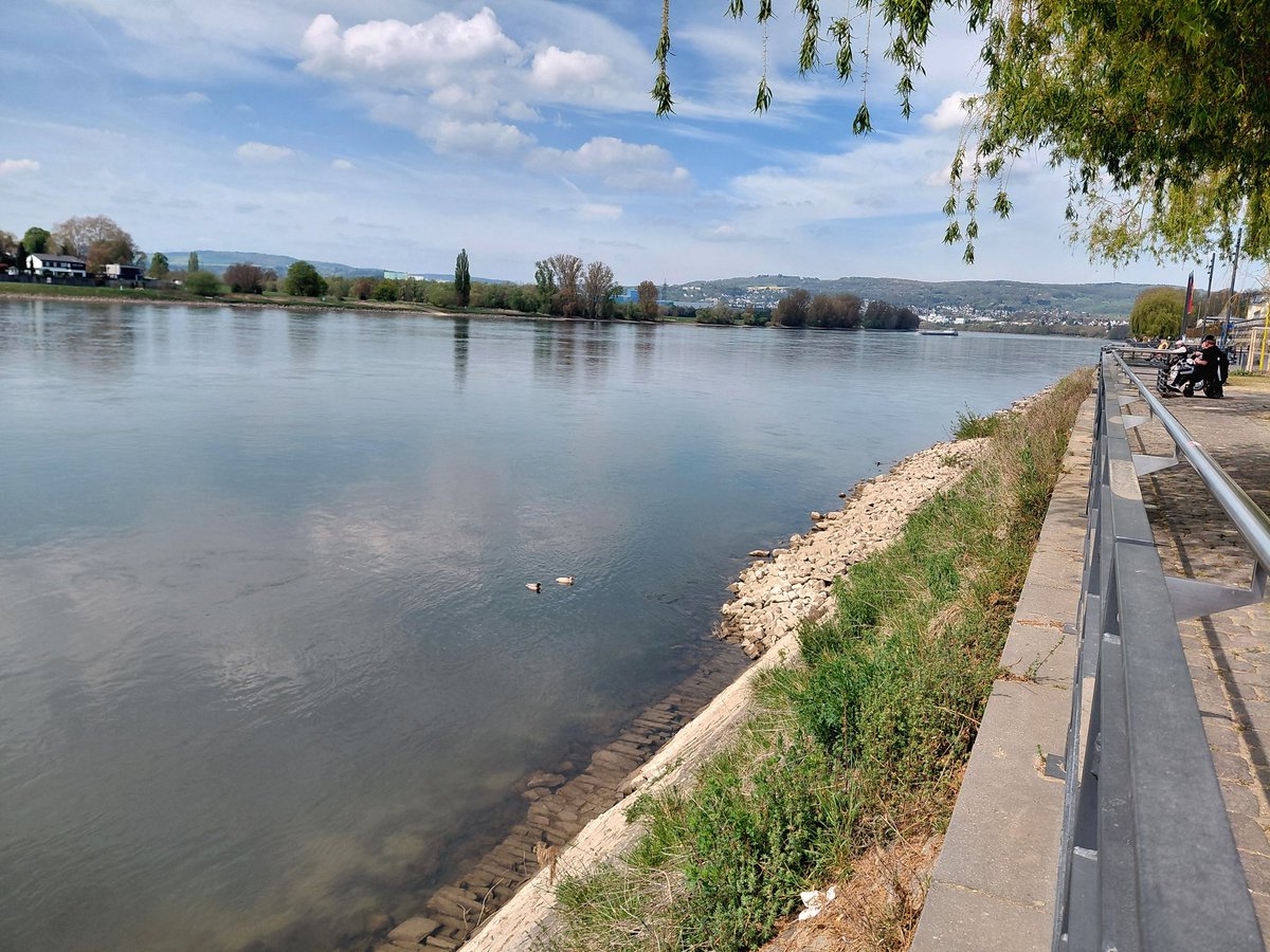 Ursula, Sakehanska means grizzly, like ursus mayor tweet media