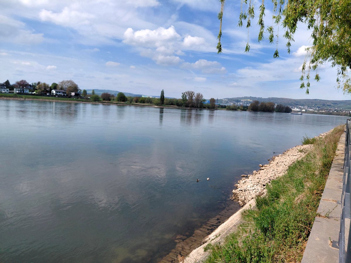 Ursula, Sakehanska means grizzly, like ursus mayor tweet media