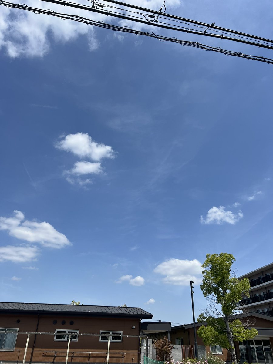 クロケット tweet media