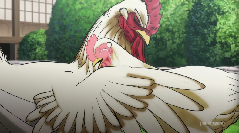 ToonamiNews's tweet image. Chicken love
#RoosterFighter #Toonami