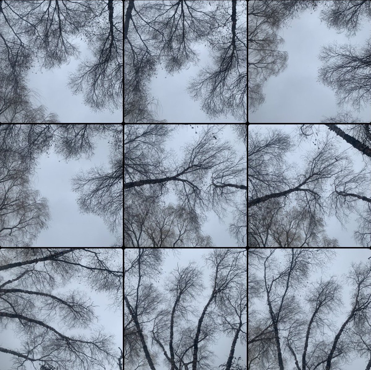 nejsnave's tweet image. I have hundreds of pictures of the beauty of little Norway park and I intend to post them all. #onpoli