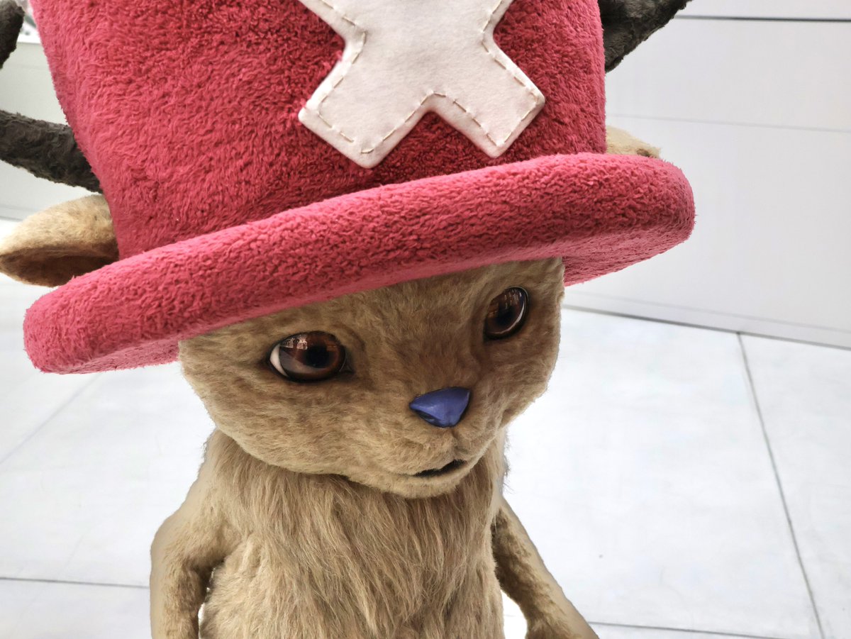 ONE PIECE スタッフ【公式】/ Official tweet media