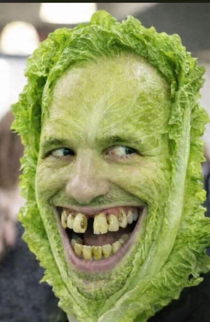 Lady of the house. tweet media